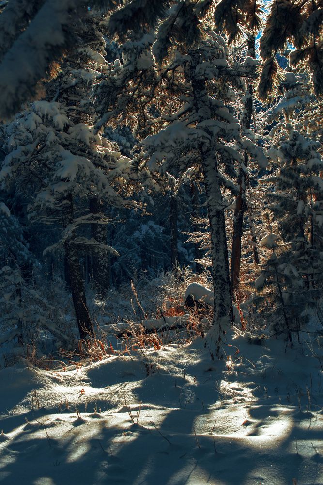 Photograph by Batjargal Lkhagvasuren