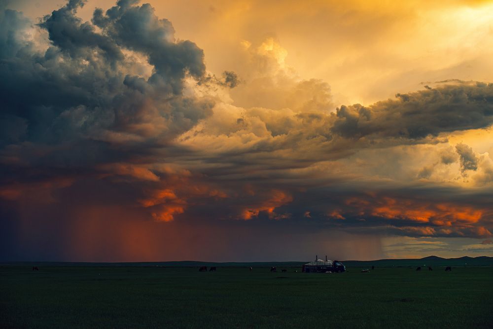 Photograph by Batjargal Lkhagvasuren
