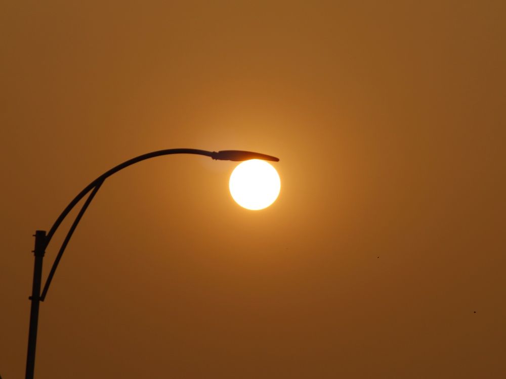 Фотография автора Washiful Majid