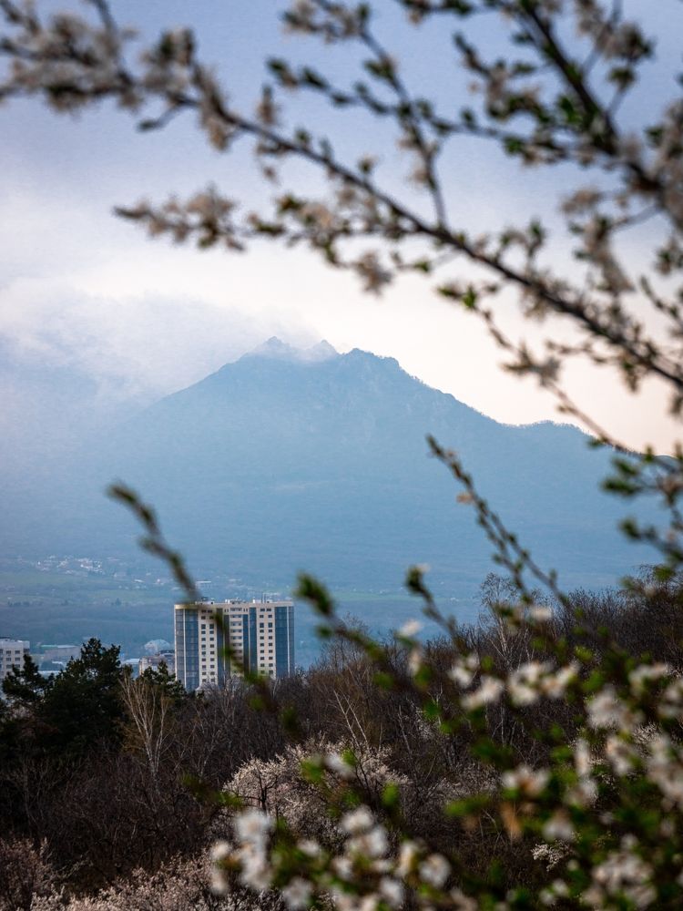 Фотография автора Павел Арсеев