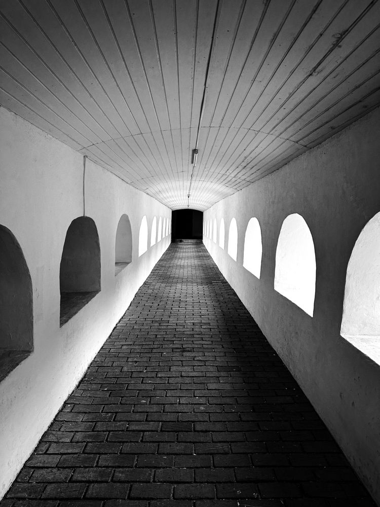 Photograph by Mikhail Smirnov