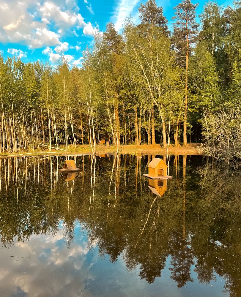 Photograph by Ольга Дорошенко