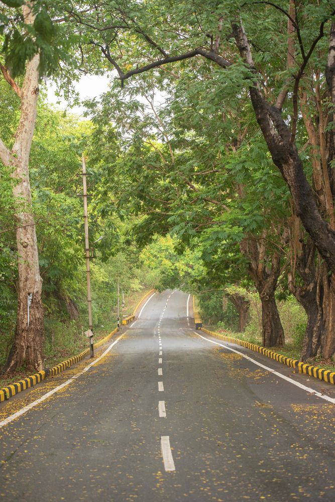 Photograph by Aashish Lall