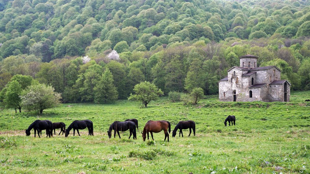 Photograph by Ольга Стоун