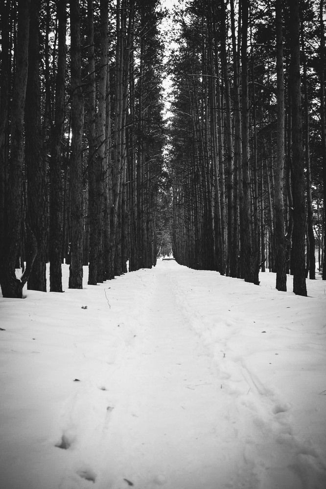 Photograph by Андрей Астафьев