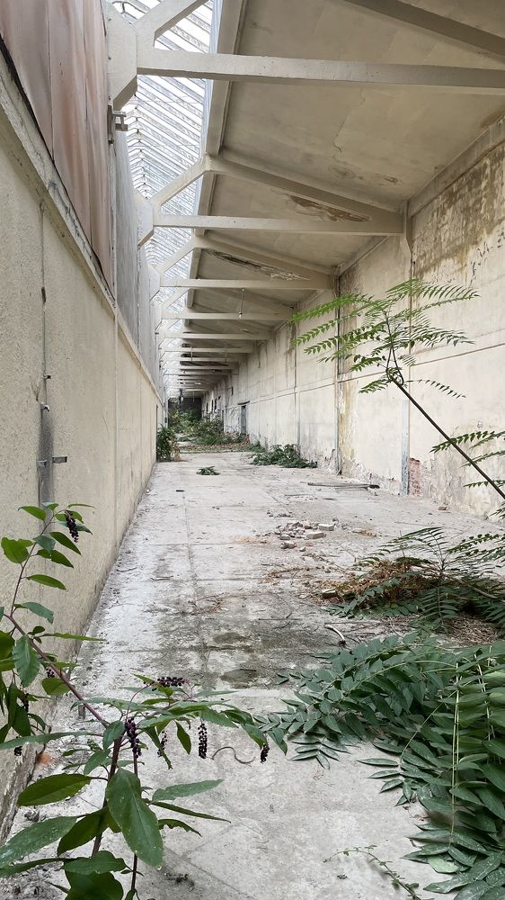 Photograph by Tadijan Ovcarov