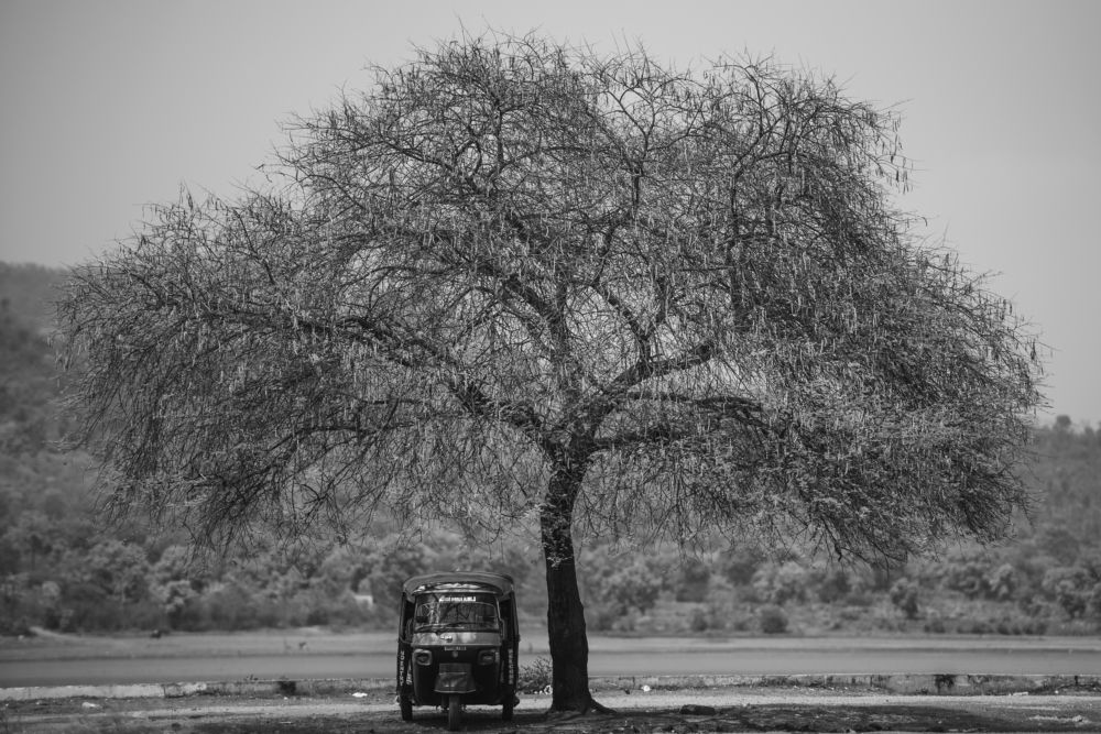Photograph by Aashish Lall