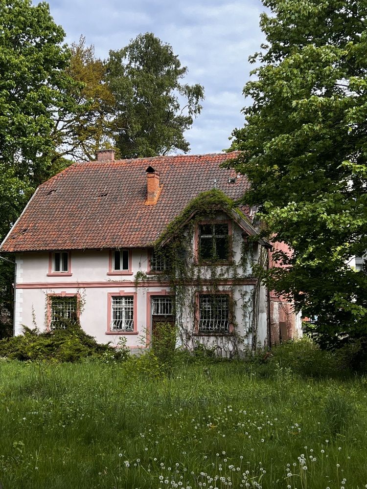 Фотография автора Komarov Svyatoslav