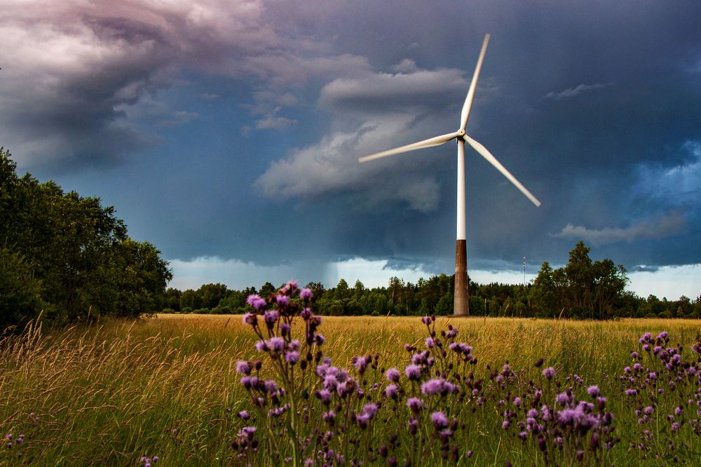 Photograph by Игорь Овсиенко