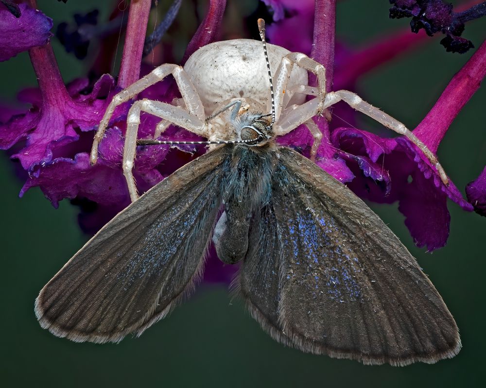 Фотография автора Craig Loechel