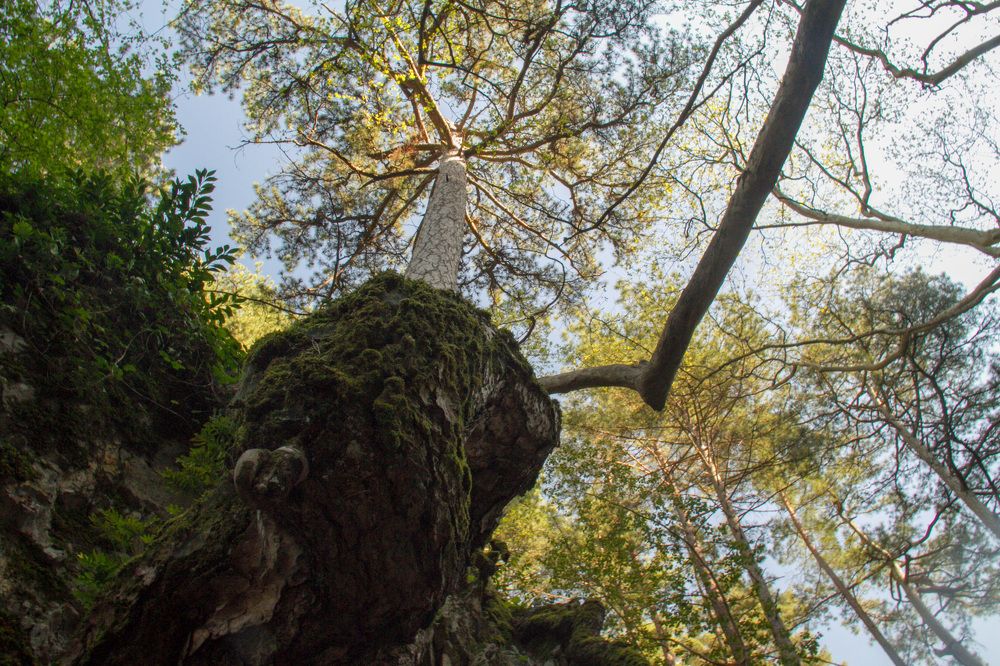 Photograph by Huseyin Mustafa Guvendag