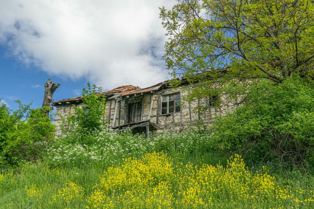 Photograph by Jeni Vladeva