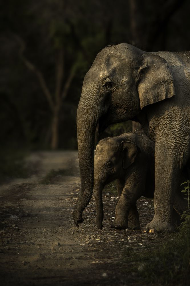 Together, we make a beautiful family