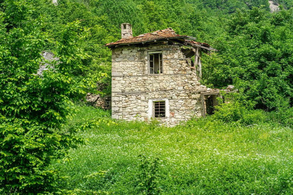 Photograph by Jeni Vladeva