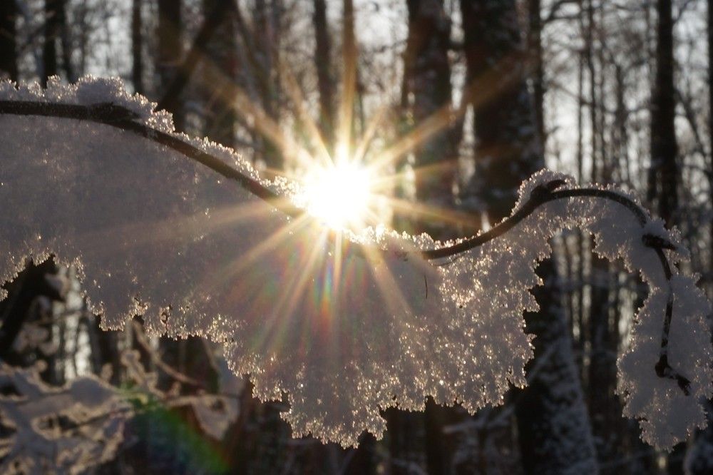 Photograph by Наталья Горбунова