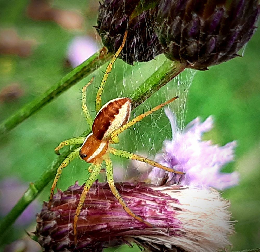 Photograph by Екатерина