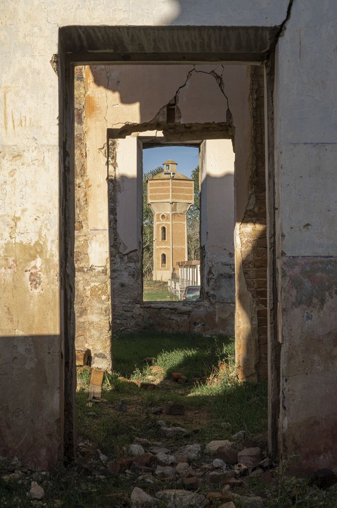 Photograph by Сергей Танков