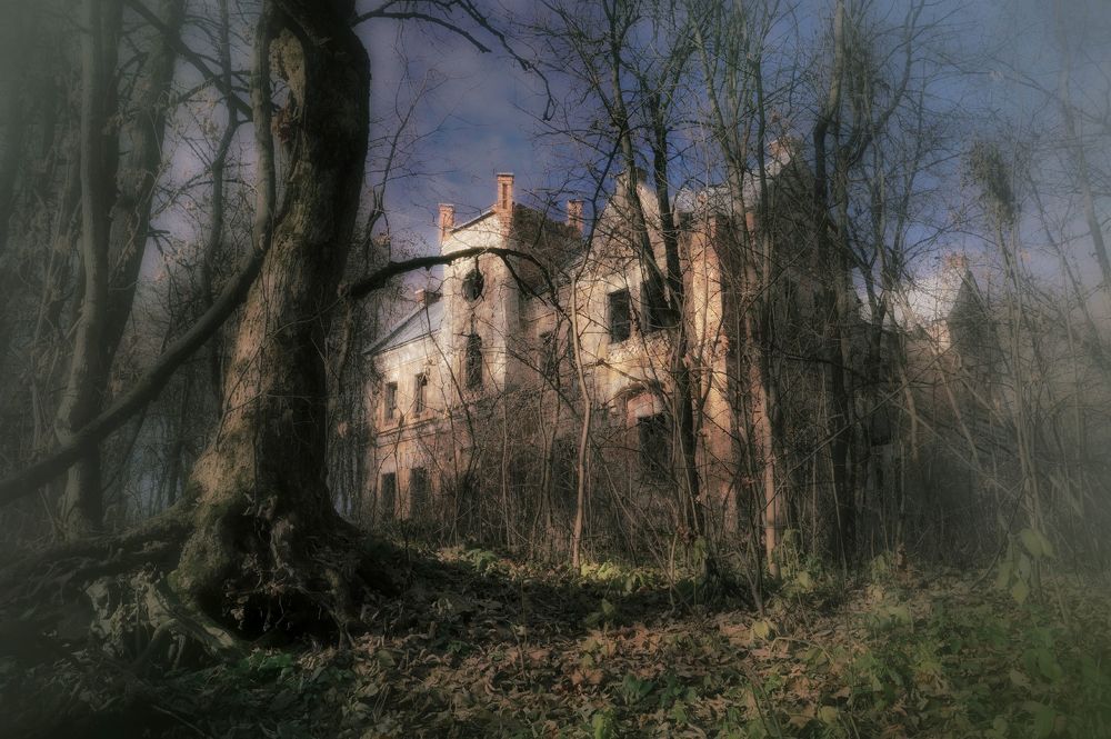 Photograph by Кондрашова Светлана