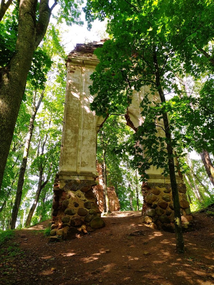 Руины дворца Тышкевичей