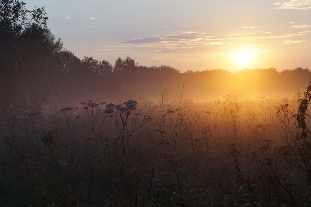 Photograph by Наталья Горбунова