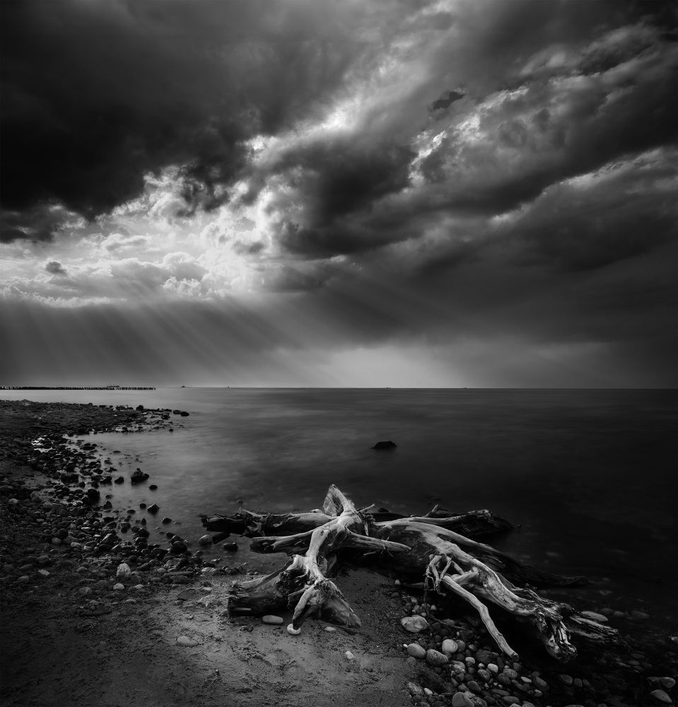 Photograph by Руднев Юрий