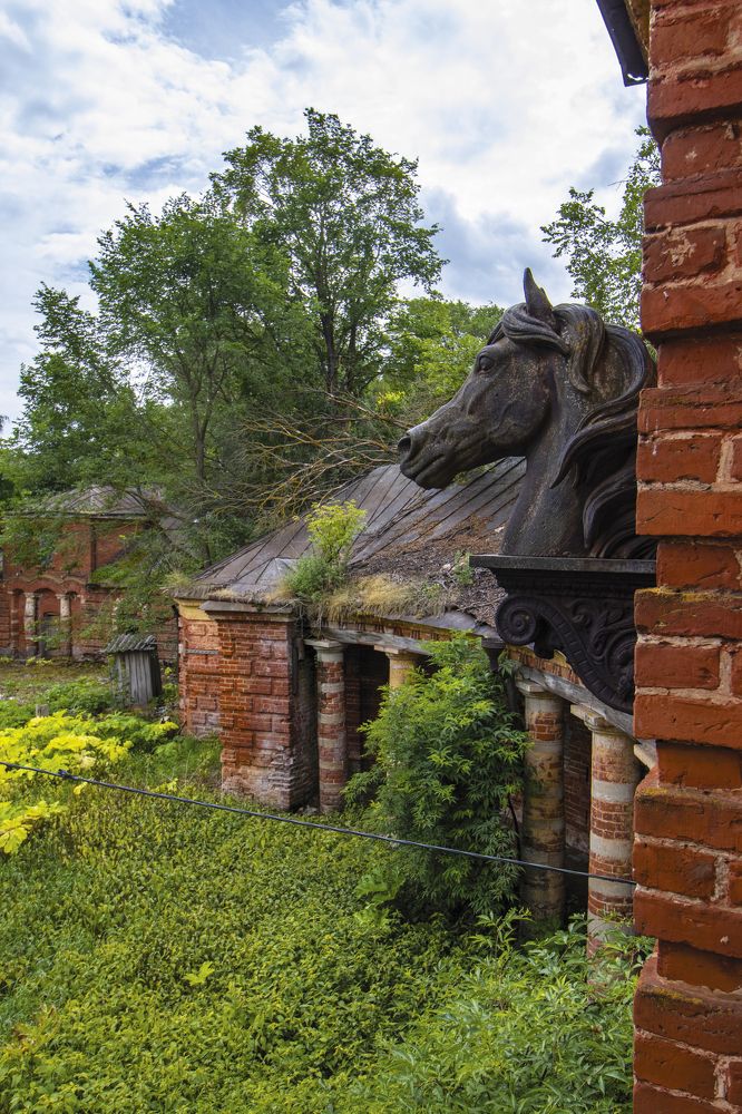 Photograph by Дмитрий Катаругин