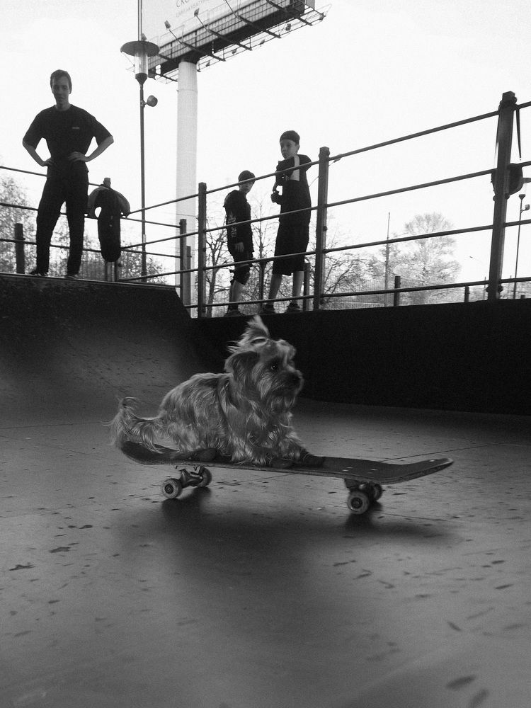 Photograph by Алексей Ханыков