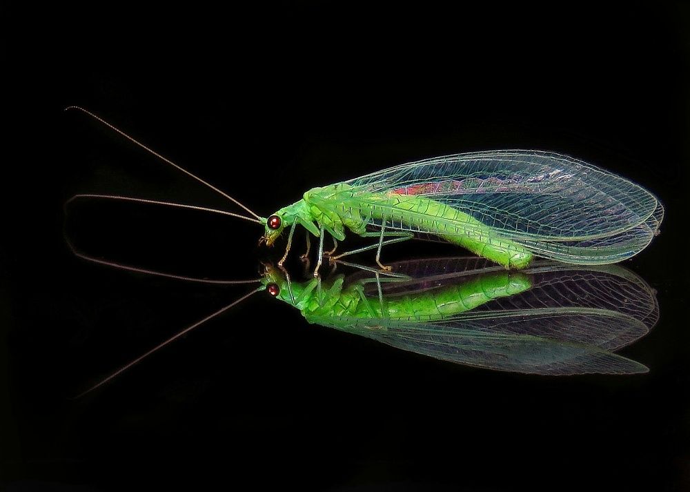 Photograph by Amin Ghaffarian