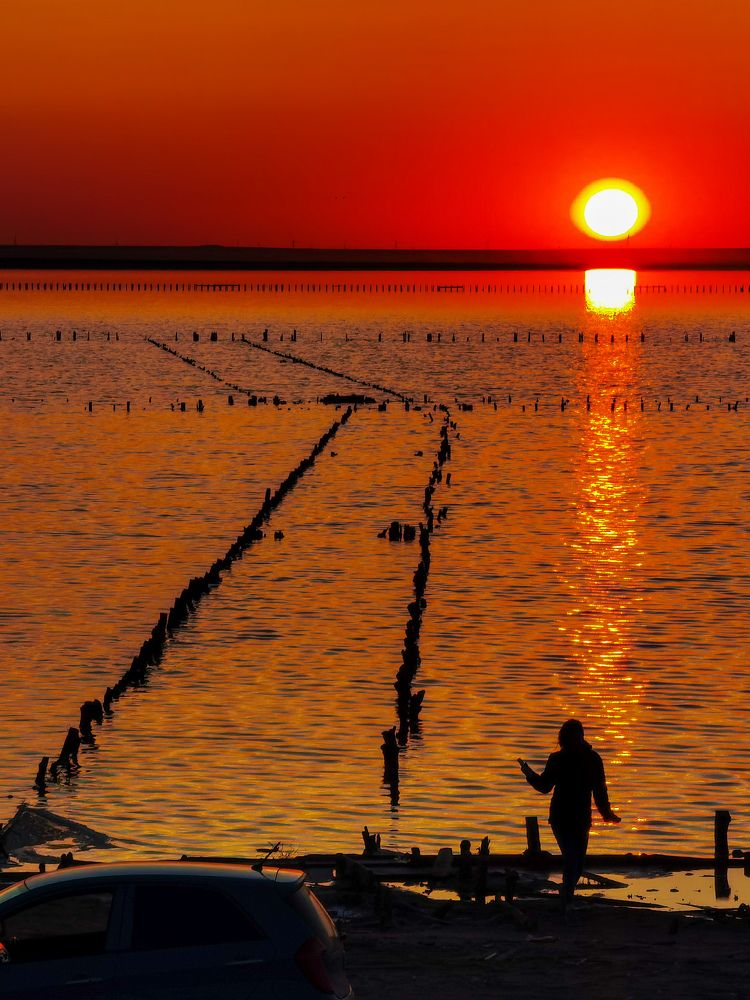 Photograph by Сафронов Александр
