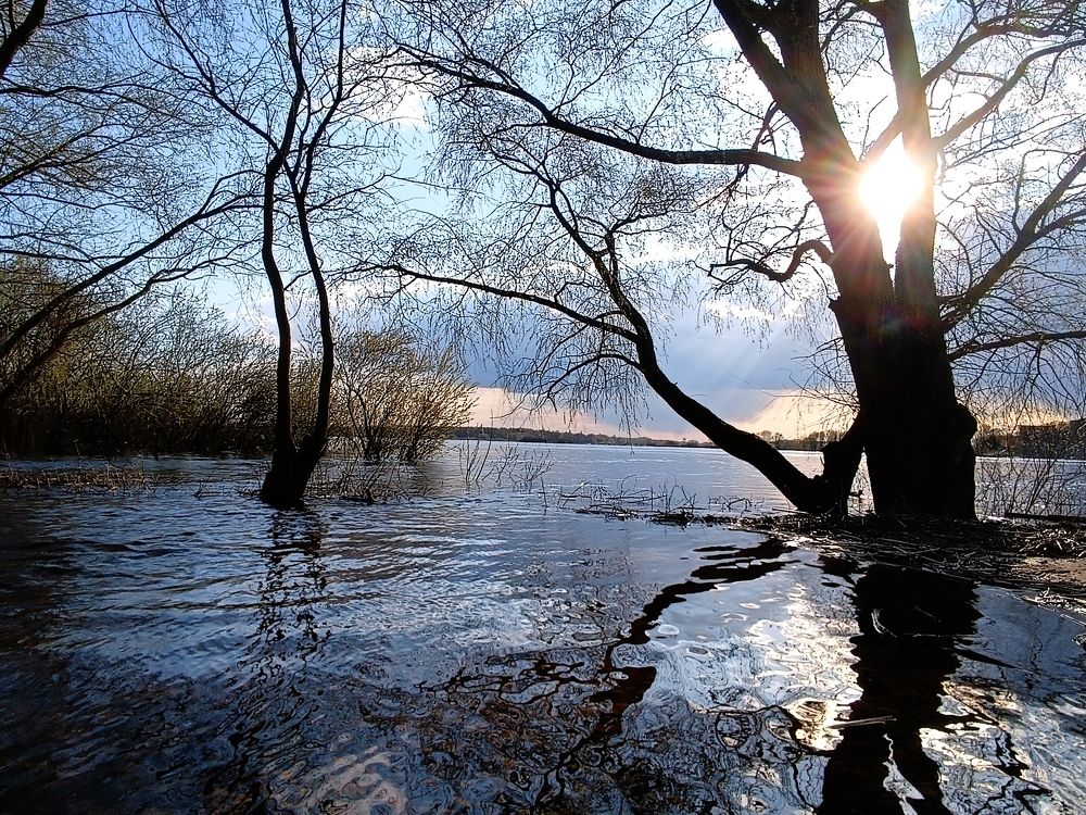 Photograph by Olga Kot