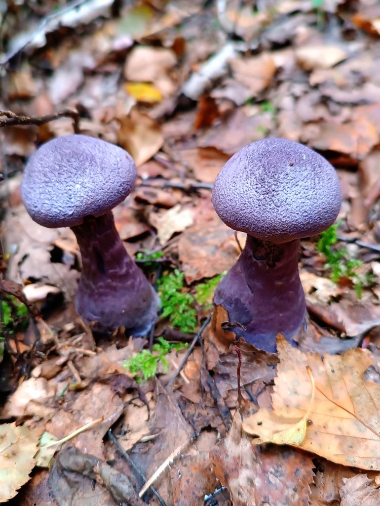 Photograph by Olga Kot