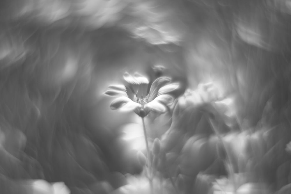 Фотография автора Медведев Сергей