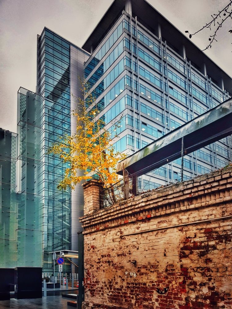 Photograph by Ольга Хромова