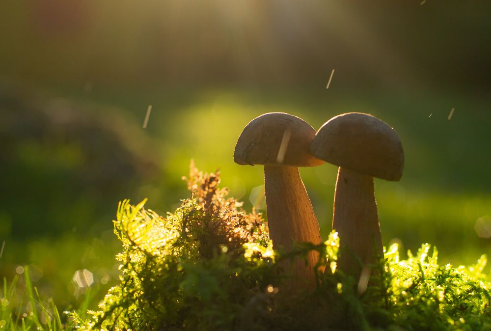 Photograph by Ekaterina Fadeeva