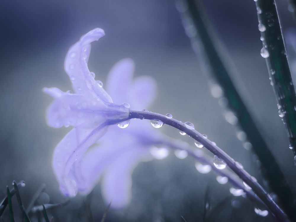 Photograph by Ekaterina Fadeeva