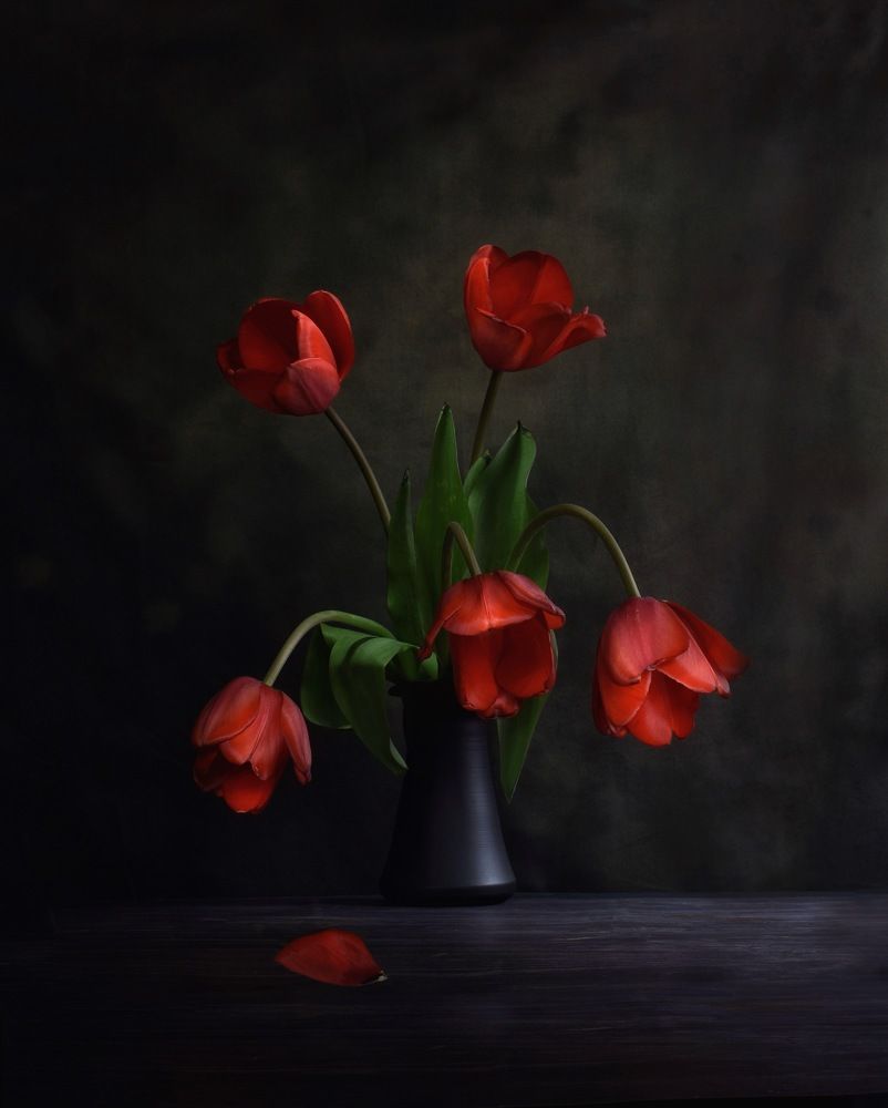 Фотография автора Phwar Cho