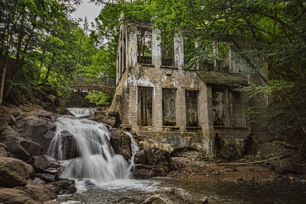 Photograph by Carl Chalupa