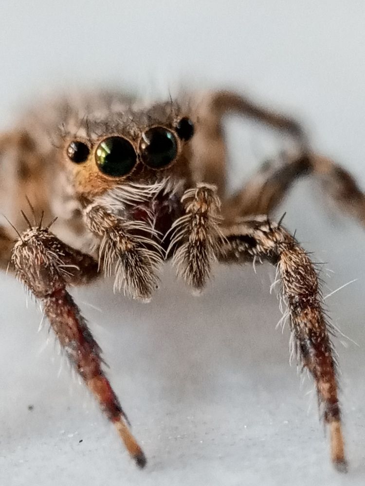 Photograph by Khairul Zamzami