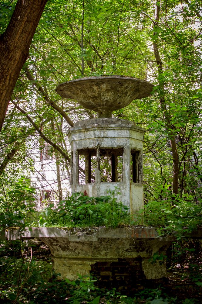 Фотография автора Дмитрий Мясников