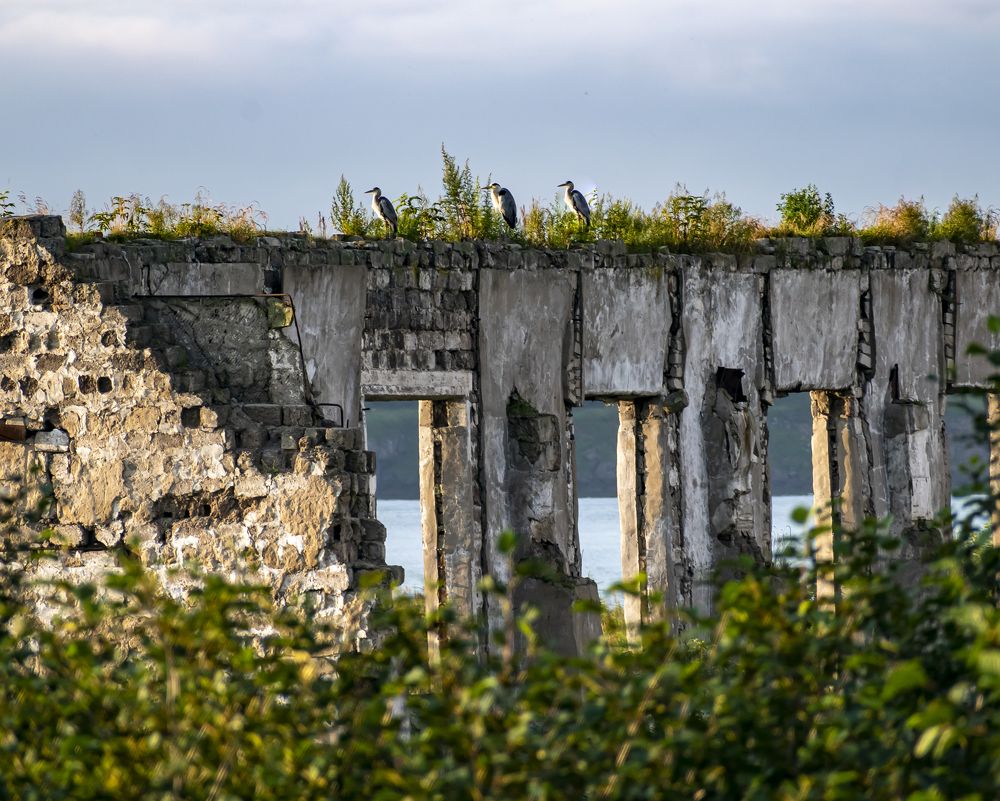 Photograph by Irina Luidinshina