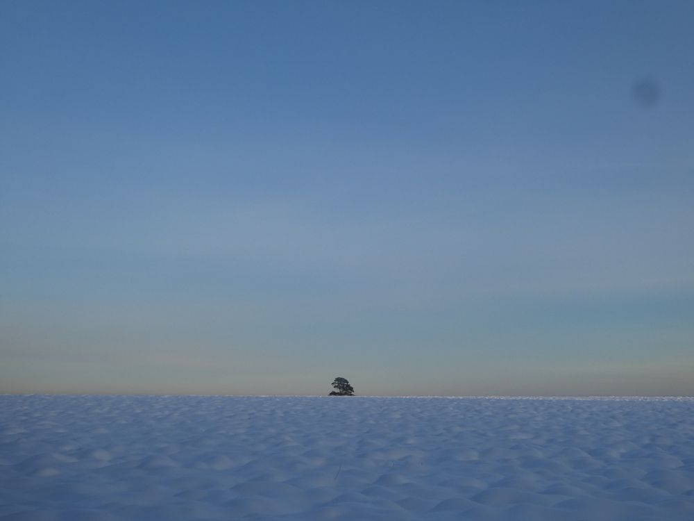 Photograph by Андрей Садчиков