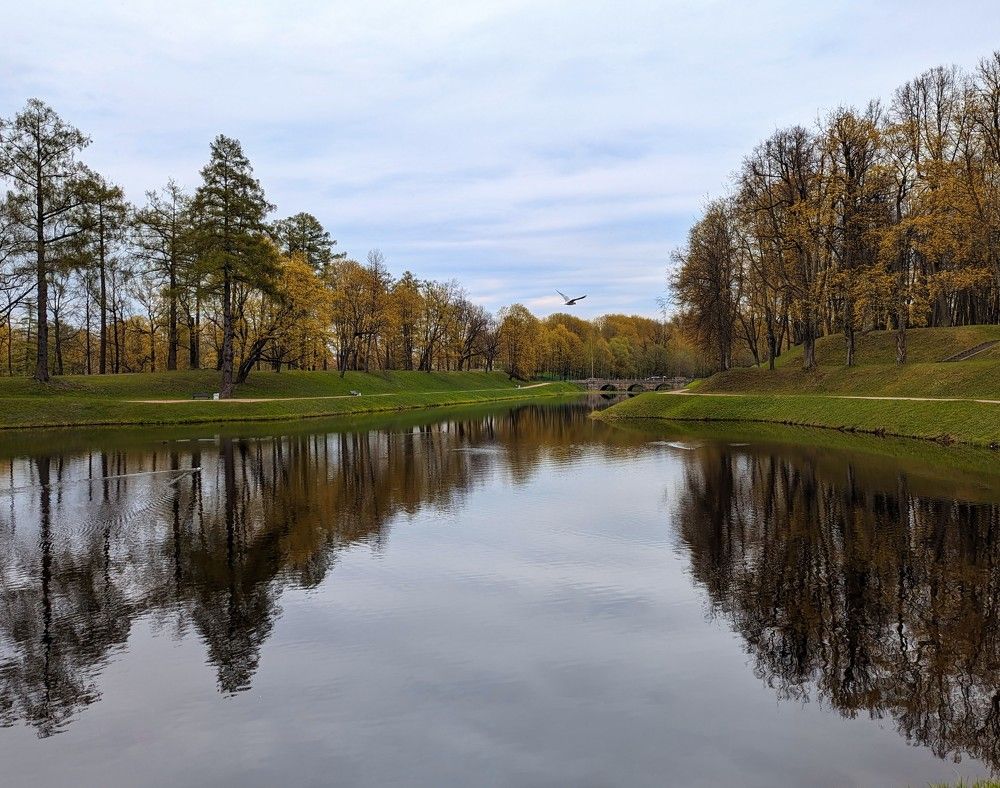 Photograph by Дарья Булавина