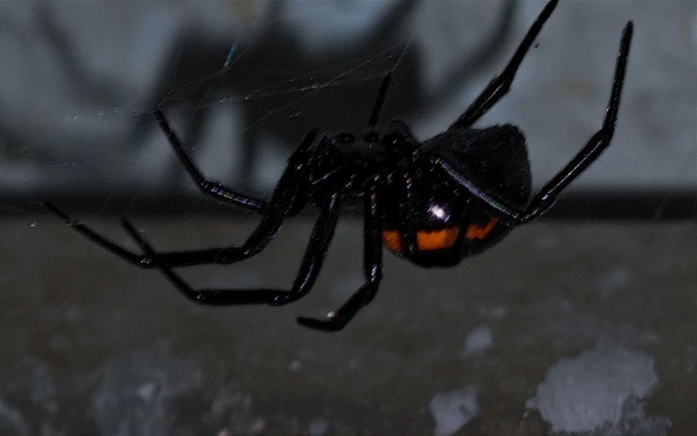 Photograph by Анна Курлова