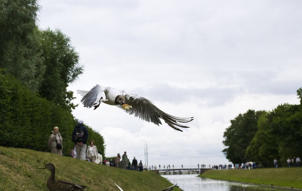Photograph by Елизавета Большакова
