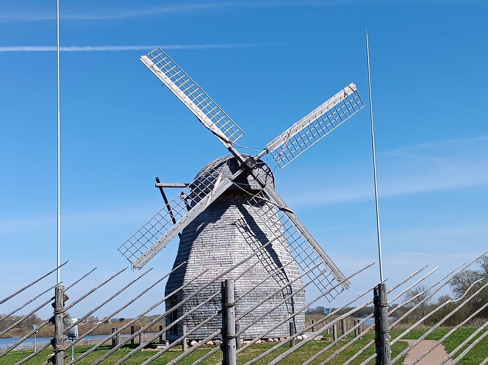 Photograph by Olga Kot