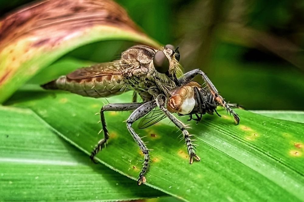 Photograph by Sujoy Kumar Paul