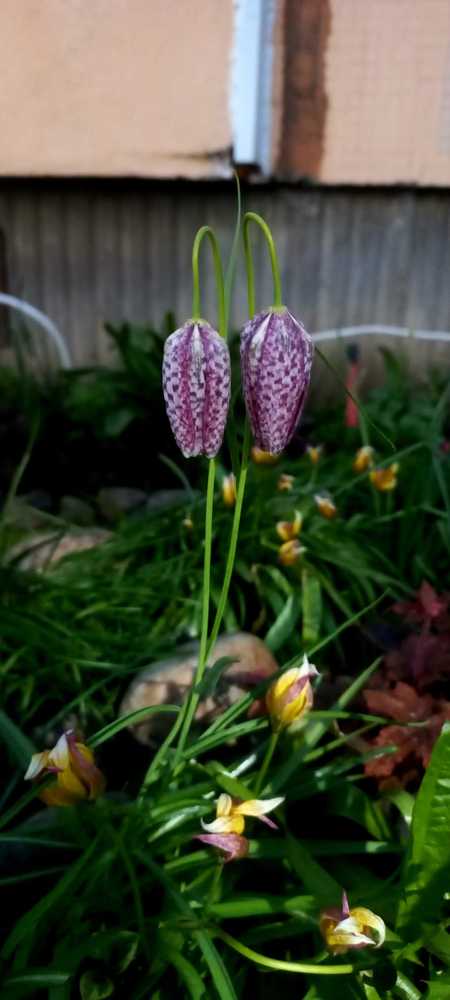 Photograph by Каковкина Ольга