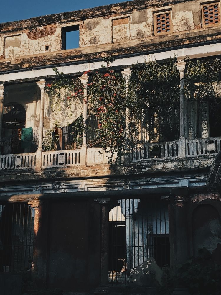 Фотография автора Rupsha Bose