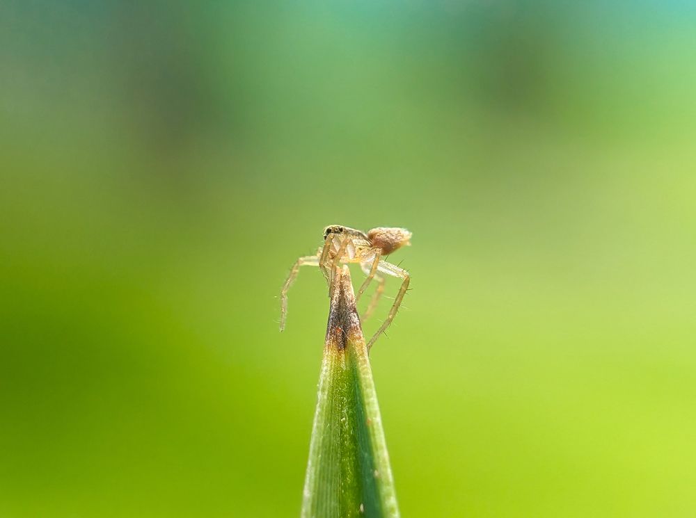 Photograph by MD Fahad Mollik