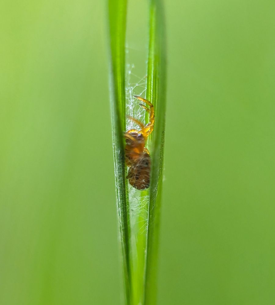 Photograph by MD Fahad Mollik